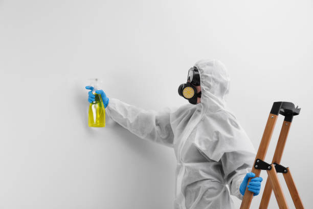 Professional Mold Removal in Sun Valley, NV